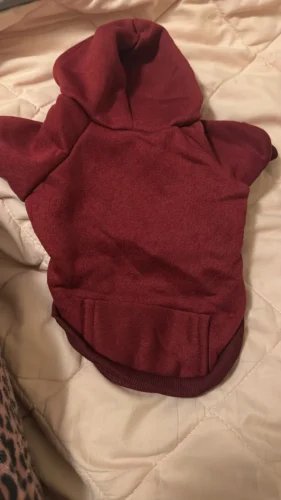 Pet sun-protective baseball cap photo review