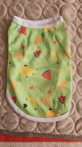 Dogs' suspender shirts photo review