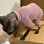 High - necked Warm - keeping Dog Clothes photo review