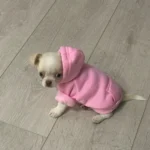 Pet sun-protective baseball cap photo review