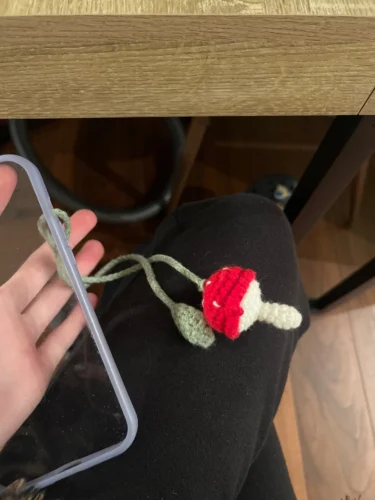 Ins-style Korean hand-woven small flower pet crossbody bag photo review