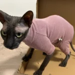 High - necked Warm - keeping Dog Clothes photo review