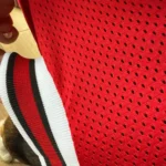 Dog World Cup Vest photo review