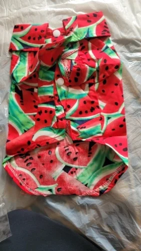 Ins-style dog sunflower Shirt and suspender skirt photo review