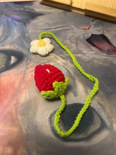 Ins-style Korean hand-woven small flower pet crossbody bag photo review