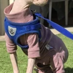 High - necked Warm - keeping Dog Clothes photo review