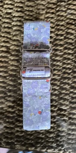 Italian Greyhound Whippet Martingale wide adjustable dog collar patterned cotton collar photo review