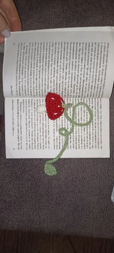 Ins-style Korean hand-woven small flower pet crossbody bag photo review