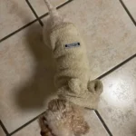 Plush high - necked cotton coat for dogs photo review