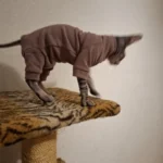 High - necked Warm - keeping Dog Clothes photo review