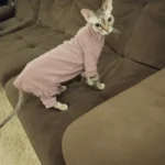 High - necked Warm - keeping Dog Clothes photo review