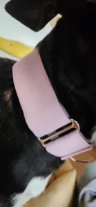 Italian Greyhound Whippet Martingale wide adjustable dog collar patterned cotton collar photo review