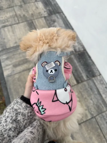 Cute pet vest T - shirts photo review