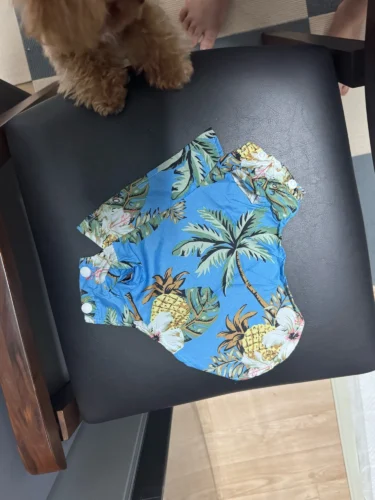 Thin Hawaiian shirt for dogs photo review