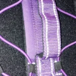 Pet harness, Leash, Collar, Drool bib, Dog clothes, Set photo review