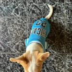 Dog World Cup Vest photo review