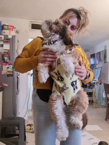 Portable double-shoulder backpack for pets photo review