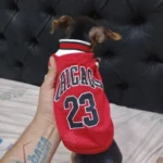 Dog World Cup Vest photo review