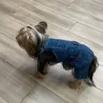 Denim overalls for dogs photo review