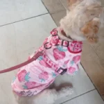Cute pet vest T - shirts photo review