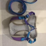 Summer cooling vest for dogs photo review