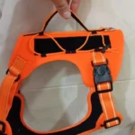 Pet harness, Leash, Collar, Drool bib, Dog clothes, Set photo review