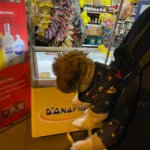 Portable double-shoulder backpack for pets photo review