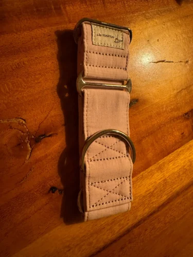 Italian Greyhound Whippet Martingale wide adjustable dog collar patterned cotton collar photo review