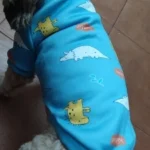 Cute pet vest T - shirts photo review