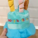 Pet Birthday Hat photo review