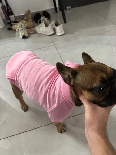 Pet sun-protective baseball cap photo review