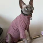 High - necked Warm - keeping Dog Clothes photo review