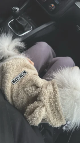 Plush high - necked cotton coat for dogs photo review