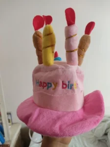 Pet Birthday Hat photo review
