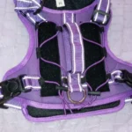 Pet harness, Leash, Collar, Drool bib, Dog clothes, Set photo review