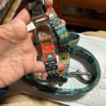 Pet harness, Leash, Collar, Drool bib, Dog clothes, Set photo review