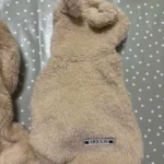 Plush high - necked cotton coat for dogs photo review