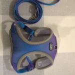 Summer cooling vest for dogs photo review