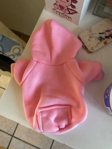 Pet sun-protective baseball cap photo review