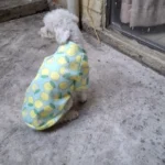 Cute pet vest T - shirts photo review