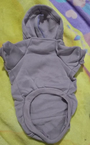 Pet sun-protective baseball cap photo review