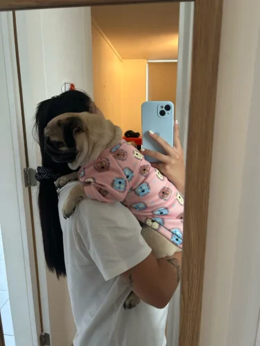 Cute pet vest T - shirts photo review