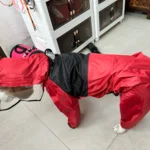 All-inclusive Raincoat for Large Dogs photo review