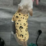 Cute pet vest T - shirts photo review