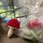 Ins-style Korean hand-woven small flower pet crossbody bag photo review