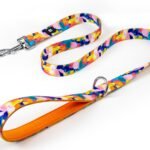 Pet harness, Leash, Collar, Drool bib, Dog clothes, Set - Colorful Oil Painting-style Leash