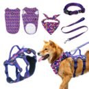 Pet harness, Leash, Collar, Drool bib, Dog clothes, Set - Butterfly Red Five-piece Set