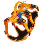 Pet harness, Leash, Collar, Drool bib, Dog clothes, Set - Colorful Oil Painting-style Harness