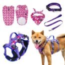 Pet harness, Leash, Collar, Drool bib, Dog clothes, Set - Five-piece Set of Summer Rainforest