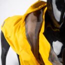 Dog hooded windbreaker